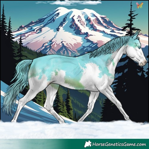 Horse Color:Watercolor Black Splash Tobiano 