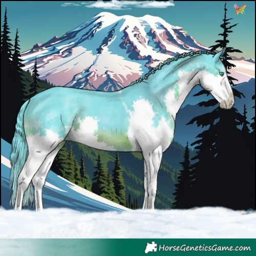 Horse Color:Watercolor Black Splash Tobiano 