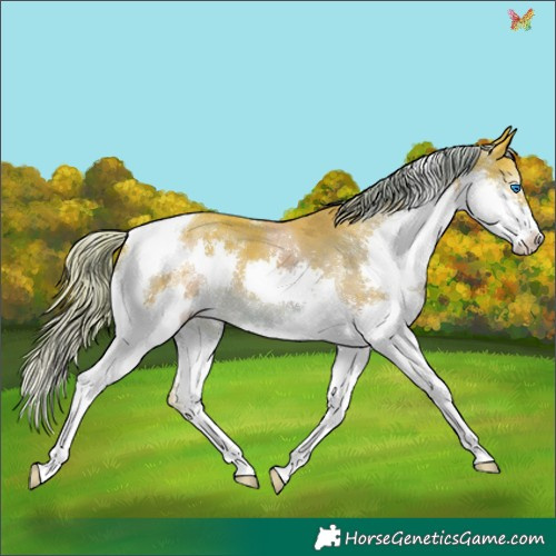 Horse Color:Watercolor Liver Chestnut Splash Tobiano