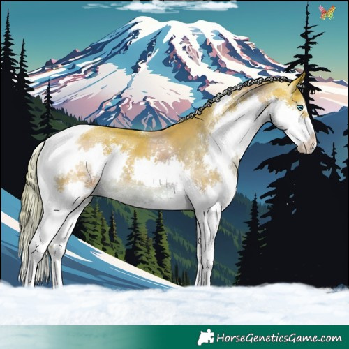 Horse Color:Watercolor Liver Chestnut Splash Tobiano 