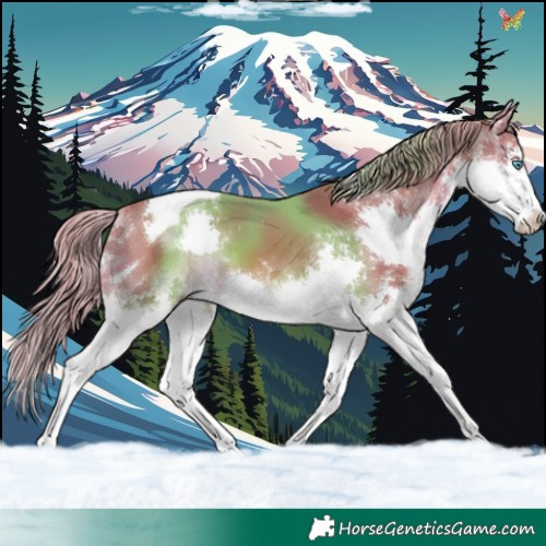 Horse Color:Watercolor Chestnut Splash Tobiano 
