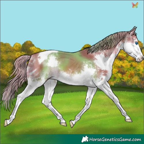 Horse Color:Watercolor Chestnut Splash Tobiano 