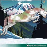 Horse Color:Watercolor Chestnut Splash Tobiano