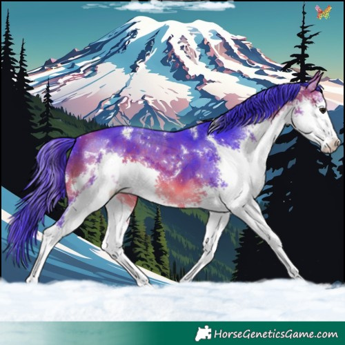 Horse Color:Watercolor White Spotted Bay Splash 