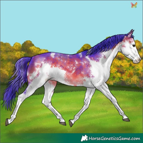 Horse Color:Watercolor White Spotted Bay Splash 