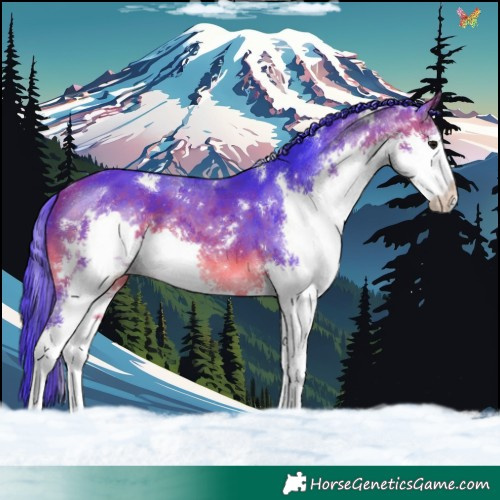 Horse Color:Watercolor White Spotted Bay Splash 