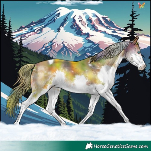 Horse Color:Nacre Bay Splash Tobiano 