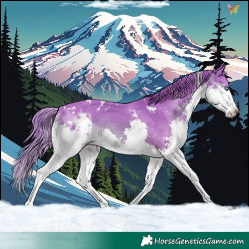 Horse Color:Watercolor White Spotted Chestnut Splash 
