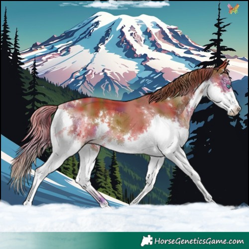 Horse Color:Nacre White Spotted Chestnut Splash 