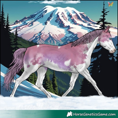 Horse Color:Watercolor Chestnut Splash Tobiano 