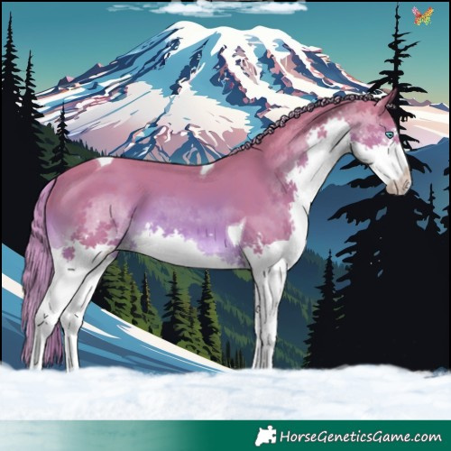 Horse Color:Watercolor Chestnut Splash Tobiano
