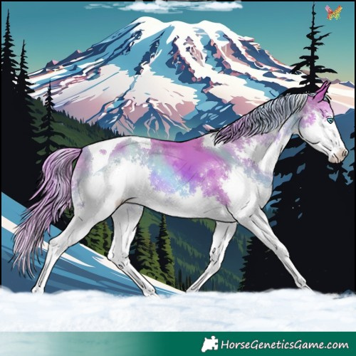 Horse Color:Watercolor Chestnut Splash Tobiano 