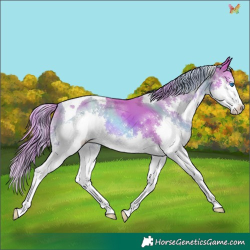 Horse Color:Watercolor Chestnut Splash Tobiano 