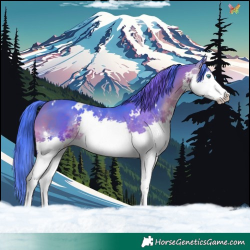 Horse Color:Watercolor White Spotted Bay Splash 