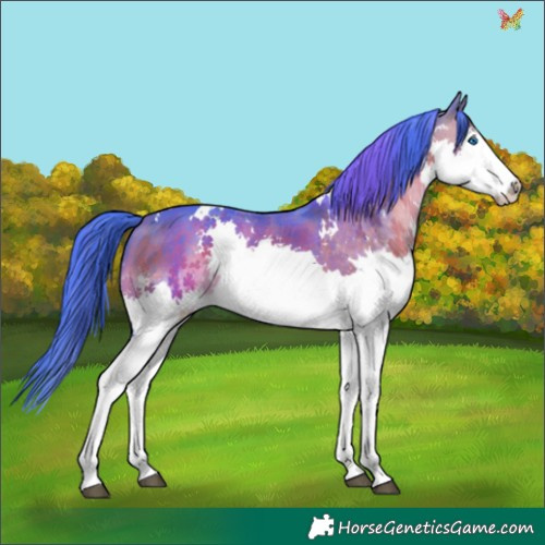 Horse Color:Watercolor White Spotted Bay Splash 