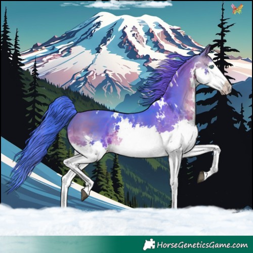 Horse Color:Watercolor White Spotted Bay Splash