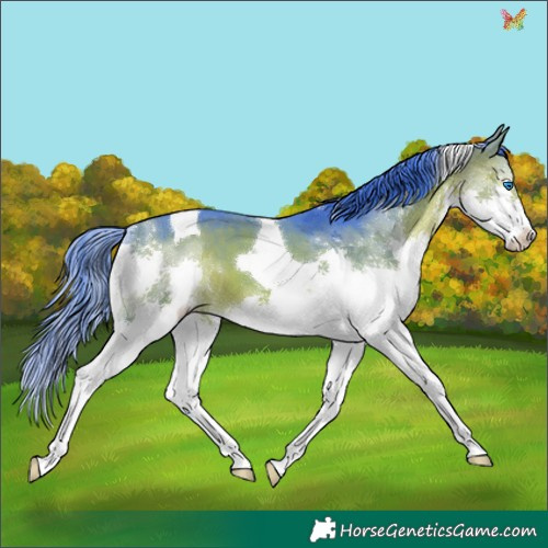Horse Color:Watercolor Bay Splash Tobiano 