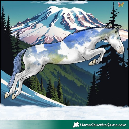 Horse Color:Watercolor Bay Splash Tobiano