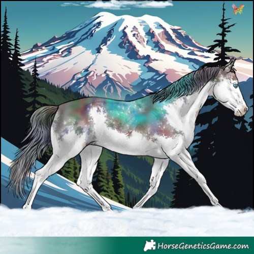 Horse Color:Nacre Black Splash Tobiano