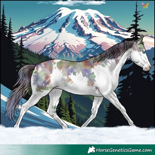 Horse Color:Nacre White Spotted Brown Dun Splash 
