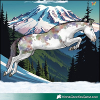 Horse Color:Nacre White Spotted Brown Dun Splash
