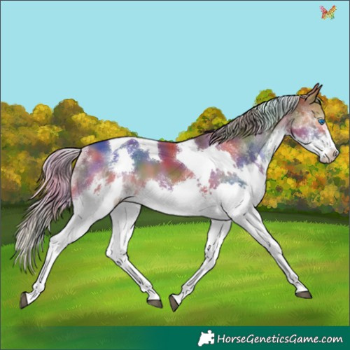 Horse Color:Nacre Chestnut Splash Tobiano 