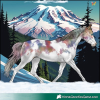 Horse Color:Nacre Chestnut Splash Tobiano