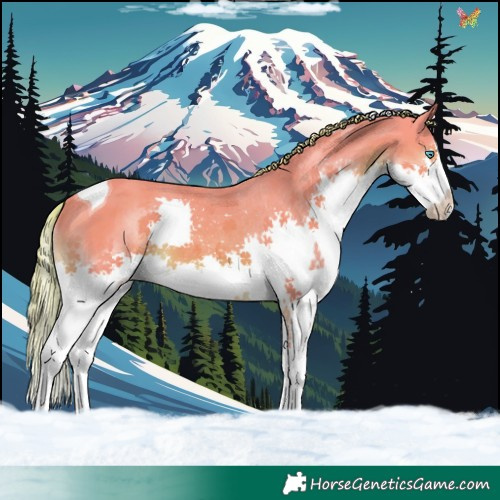 Horse Color:Watercolor Chestnut Splash Tobiano 