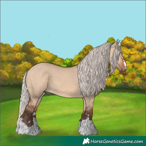 Horse Color:Silver Bay Dun