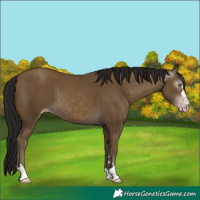 Horse Color:Gray Classic Cream Champagne 