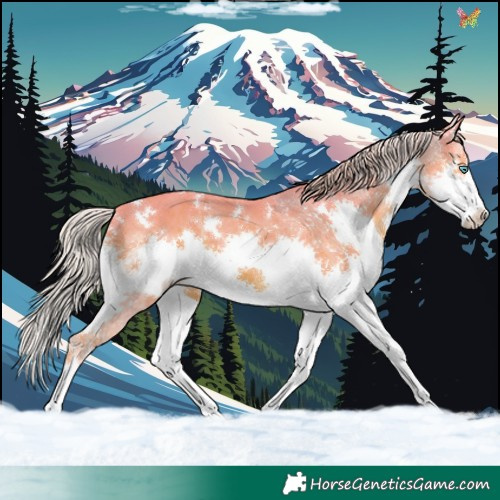 Horse Color:Watercolor White Spotted Silver Black Splash 