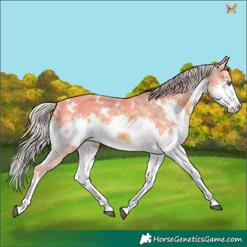 Horse Color:Watercolor White Spotted Silver Black Splash 