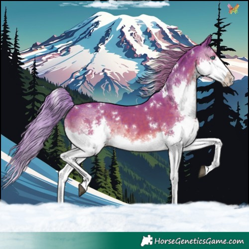Horse Color:Watercolor White Spotted Liver Chestnut Splash
