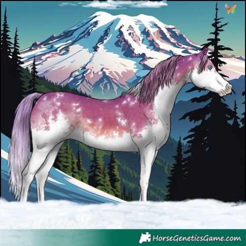Horse Color:Watercolor White Spotted Liver Chestnut Splash 