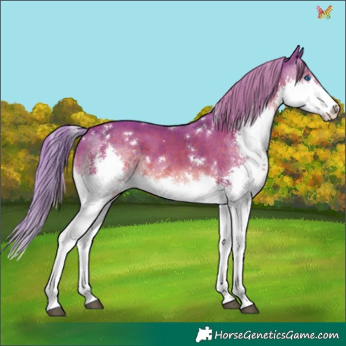 Horse Color:Watercolor White Spotted Liver Chestnut Splash
