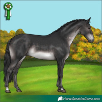Horse Color:Platinum Brown