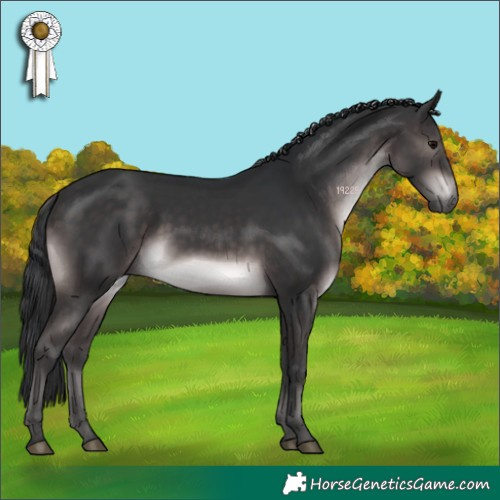 Horse Color:Platinum Brown 