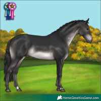 Horse Color:Platinum Brown
