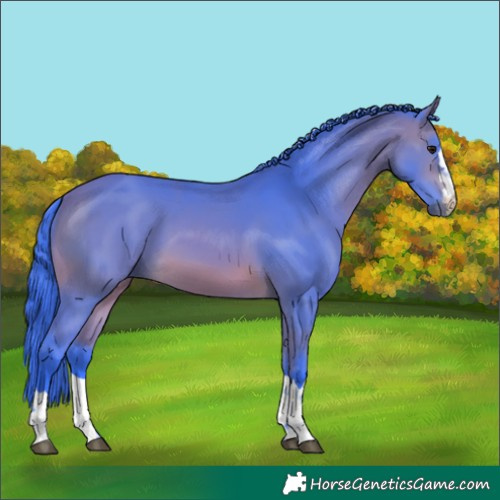 Horse Color:Watercolor Bay 