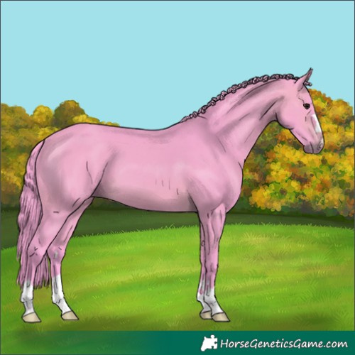 Horse Color:Watercolor Brown 