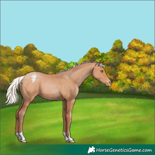 Horse Color:Silver Brown Pearl Varnish 