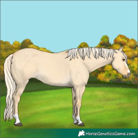 Horse Color:Palomino Dun 