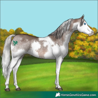 Horse Color:Silver Brown Dun Mushroom Splash Tobiano 