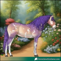 Horse Color:Watercolor White Spotted Buckskin Onyx Sabino Rabicano
