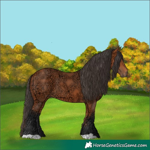 Horse Color:Bay Ice 