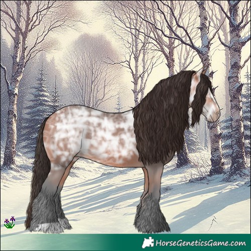 Horse Color:Bay Ice Rabicano 
