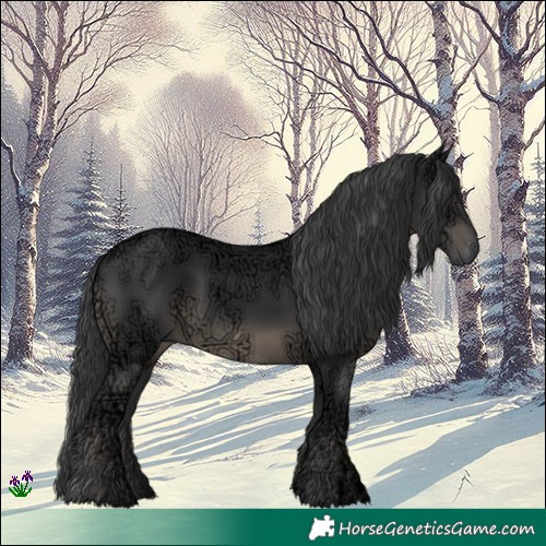 Horse Color:Black Ice 
