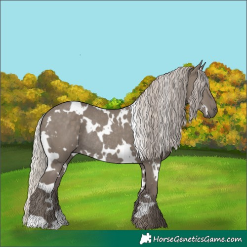 Horse Color:White Spotted Silver Grullo Rabicano 