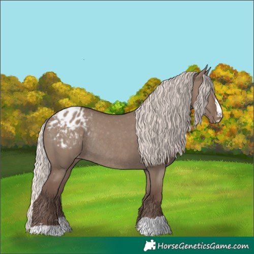 Horse Color:Silver Grullo Appaloosa Rabicano 