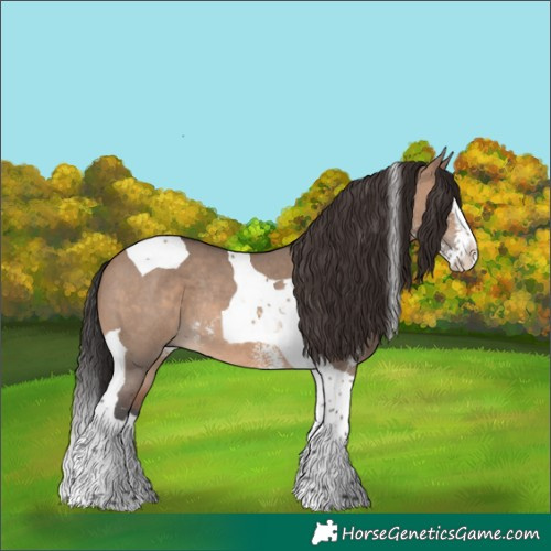 Horse Color:Brown Dun Sabino Splash Tobiano Rabicano 